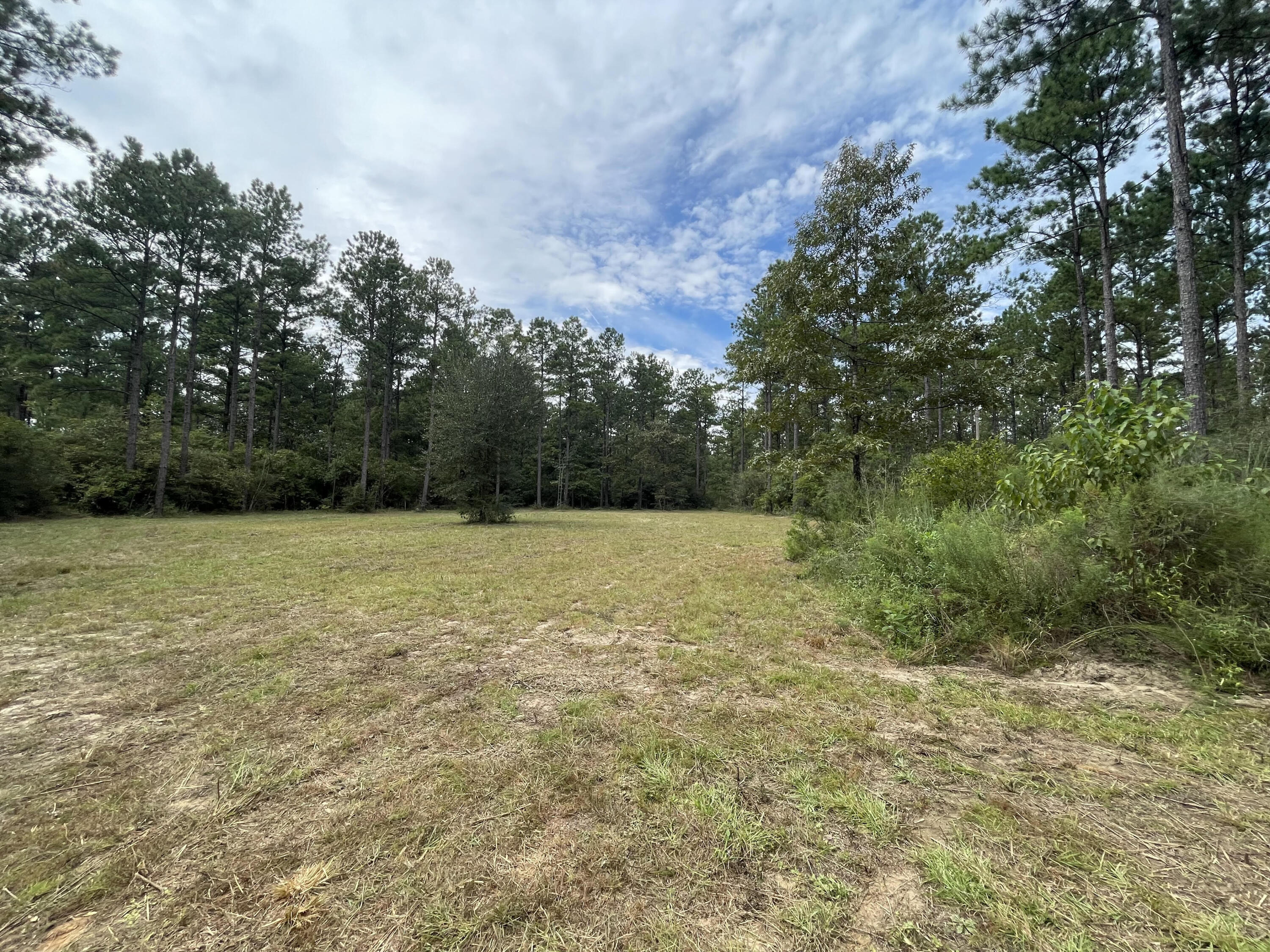 WALTON PLANTATION - Land