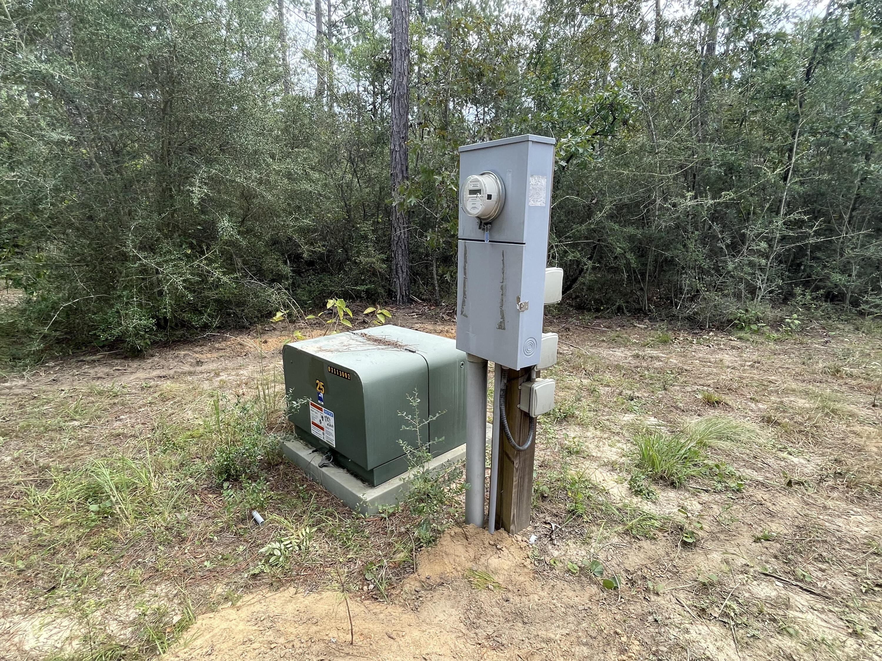 WALTON PLANTATION - Land