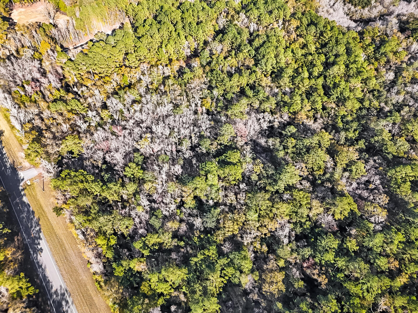 NO RECORDED SUBDIVISION - Land