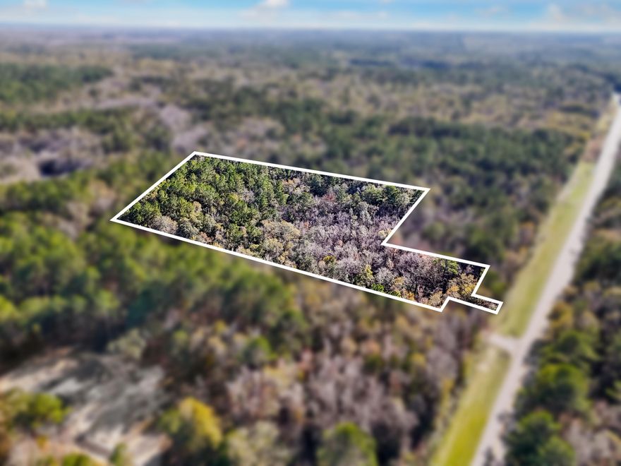 Discover the perfect blend of privacy, accessibility, and rural charm with this 6.3+/- acre vacant parcel located directly along State Highway 81 in Ponce de Leon, Florida. This property offers excellent road frontage and easy access, making it ideal for a future homesite, recreational retreat, or investment hold. Electric is available nearby along the highway; buyer to verify utility availability Walton County. Well and septic would be required. GPS Coordinates: 30.627935, -85.938864