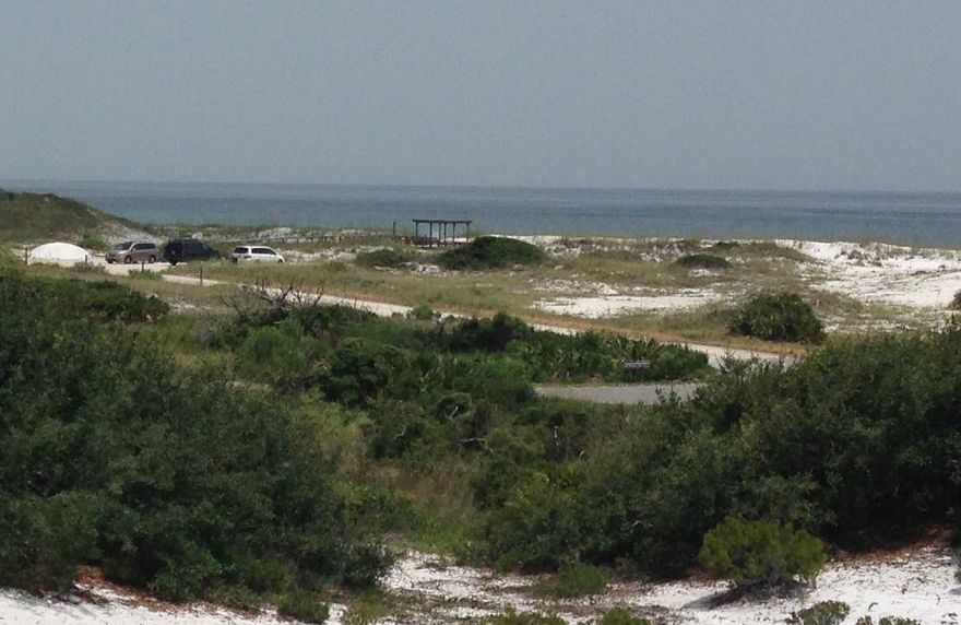 Rare opportunity to own and build in this exclusive neighborhood of FOUR MILE VILLAGE. Drive through the gate and you are in a nature preserve and yet convenient to all the shopping and restaurants of Sandestin ,Destin and Hwy 30A. Gulf Views( from this property are astonishing and only steps to the beach.This neighborhood is unmatched. It was established to enjoy all the wonders of nature and beauty of Gulf of Mexico , Beaches and Nature. This lot has common area and Trust land between it and Gulf of Mexico that establishes a large view corridor.The development abuts Topsl State Park that gives you miles of open beaches to walk and explore. This lot has great elevation and is large enough to accommodate a home and pool with plenty of area left for lawn and landscaping