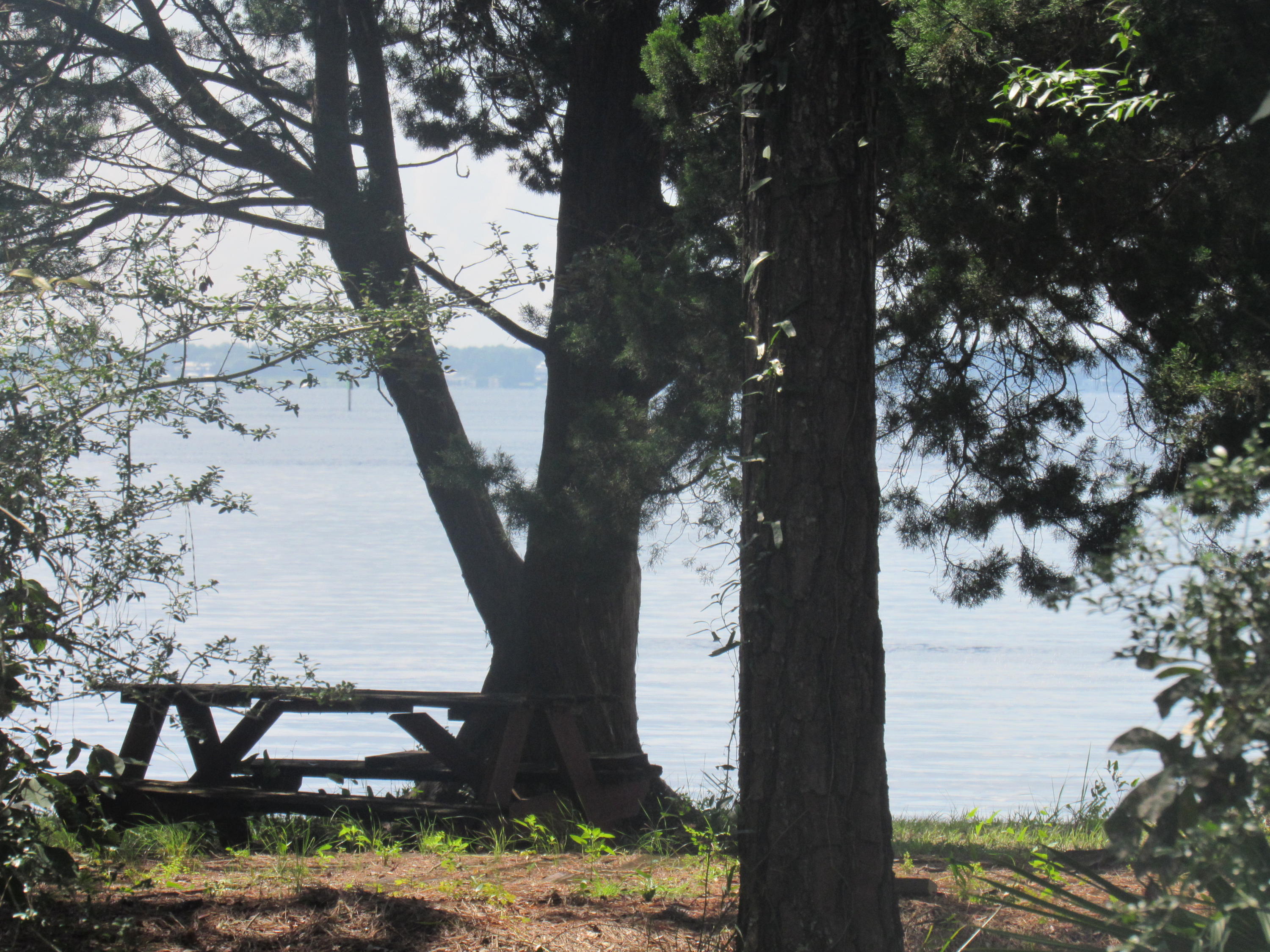 BAYVIEW WINTER HOMES - Land