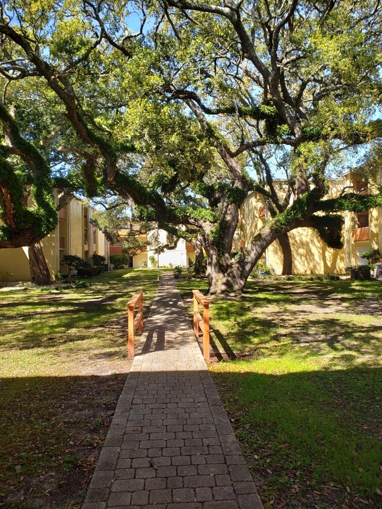 CEDARS CONDO - Residential