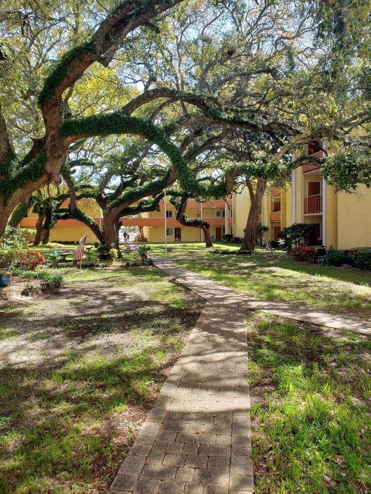 CEDARS CONDO - Residential