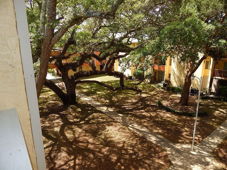 Move-In-Ready! Affordable, Clean, 1 Bedroom 1 Bath Condo in The Cedars - Waterfront Community with Pool! Newer appliances. New Energy Efficient Windows and New Hot Water Heater! HVAC exterior unit is just a few years old. Enjoy quiet evenings on the dock, by the pool or sitting on your balcony, overlooking the lush Courtyard! Great investment property or opportunity for owner to have their own piece of the sound. Unit has been very well maintained. Includes Dining Room and Living Room furniture! Call to see it today!