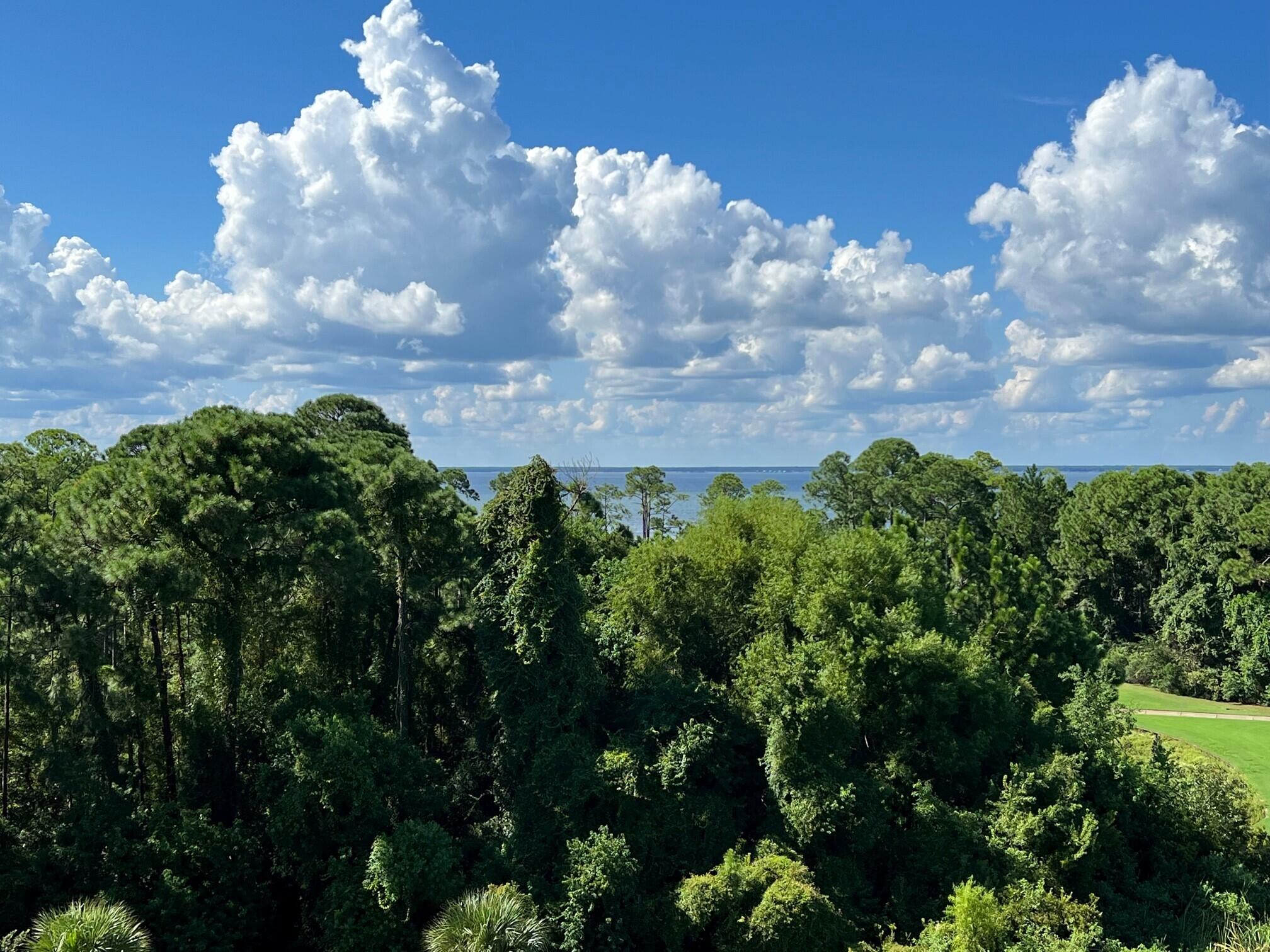 ELATION - Residential Lease