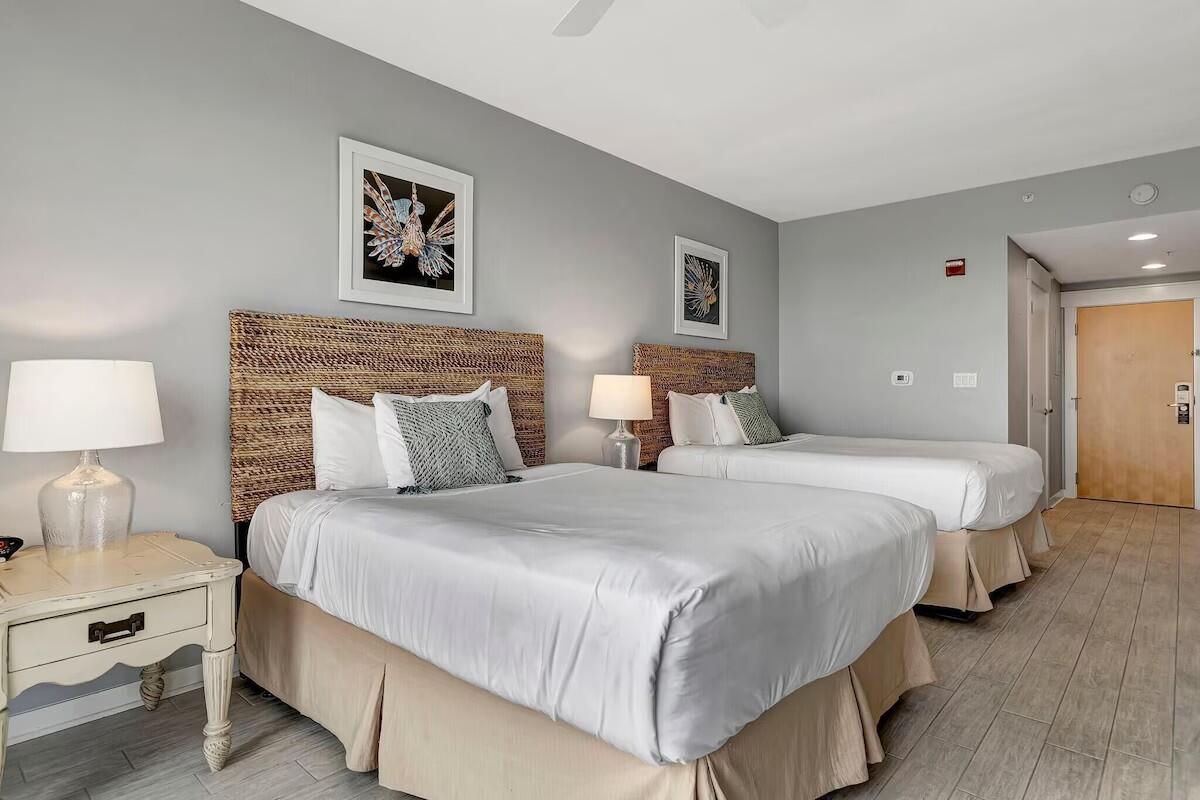 ELATION - Residential Lease