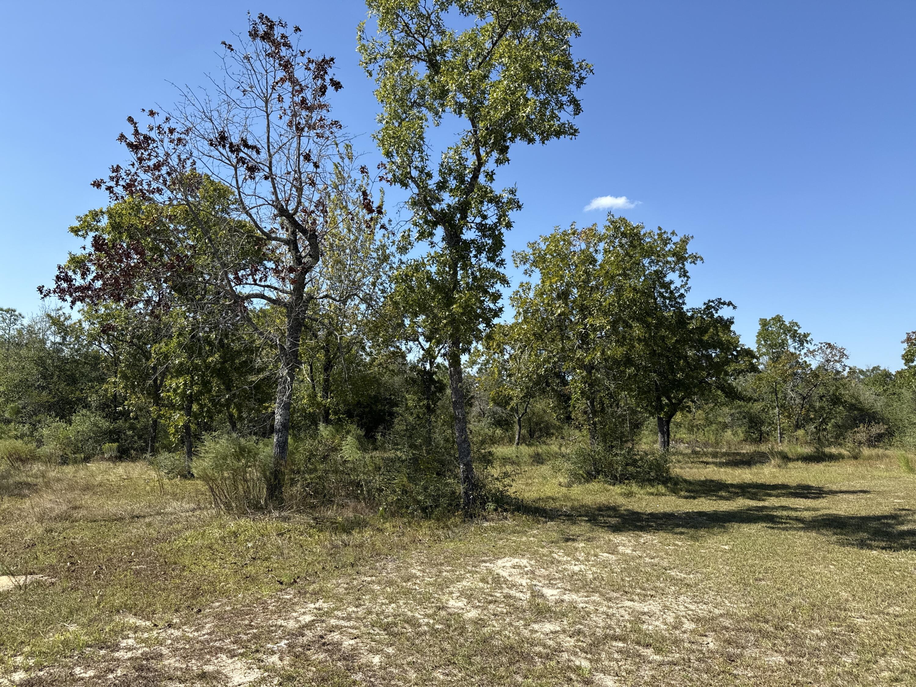 COMPASS LAKE IN THE HILLS - Residential