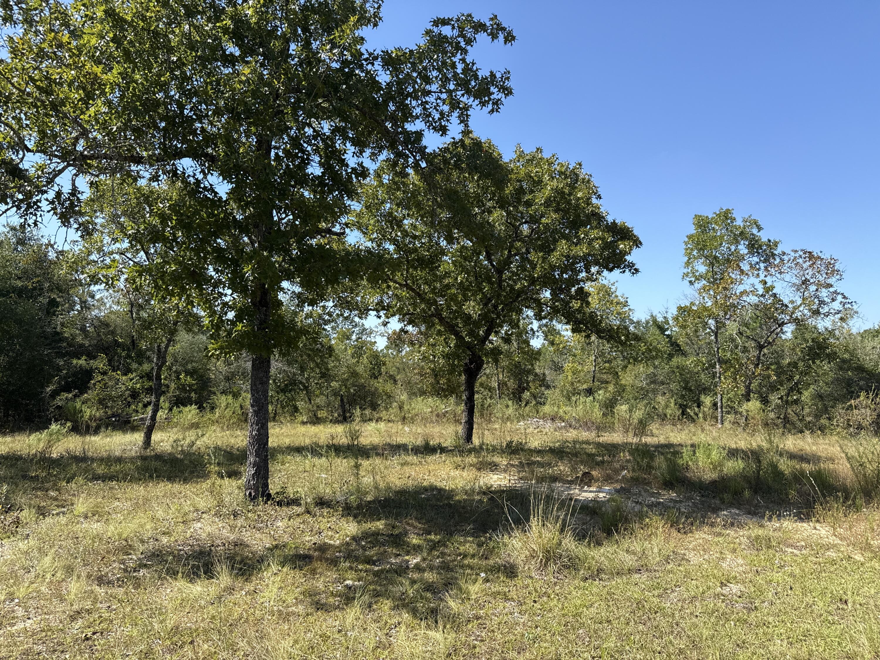 COMPASS LAKE IN THE HILLS - Residential