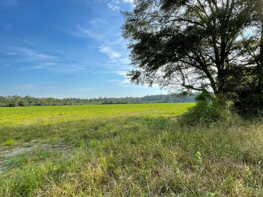 17+/- Ac of land here in Baker, Bring your Build plans and enjoy the peaceful country living. Row crops, Pecan trees on the property as well as a barn.  Grab your fishing poles and camping gear because this is Adjoins the Blackwater River State Forest . Zoned Agricultural and Institutional.
