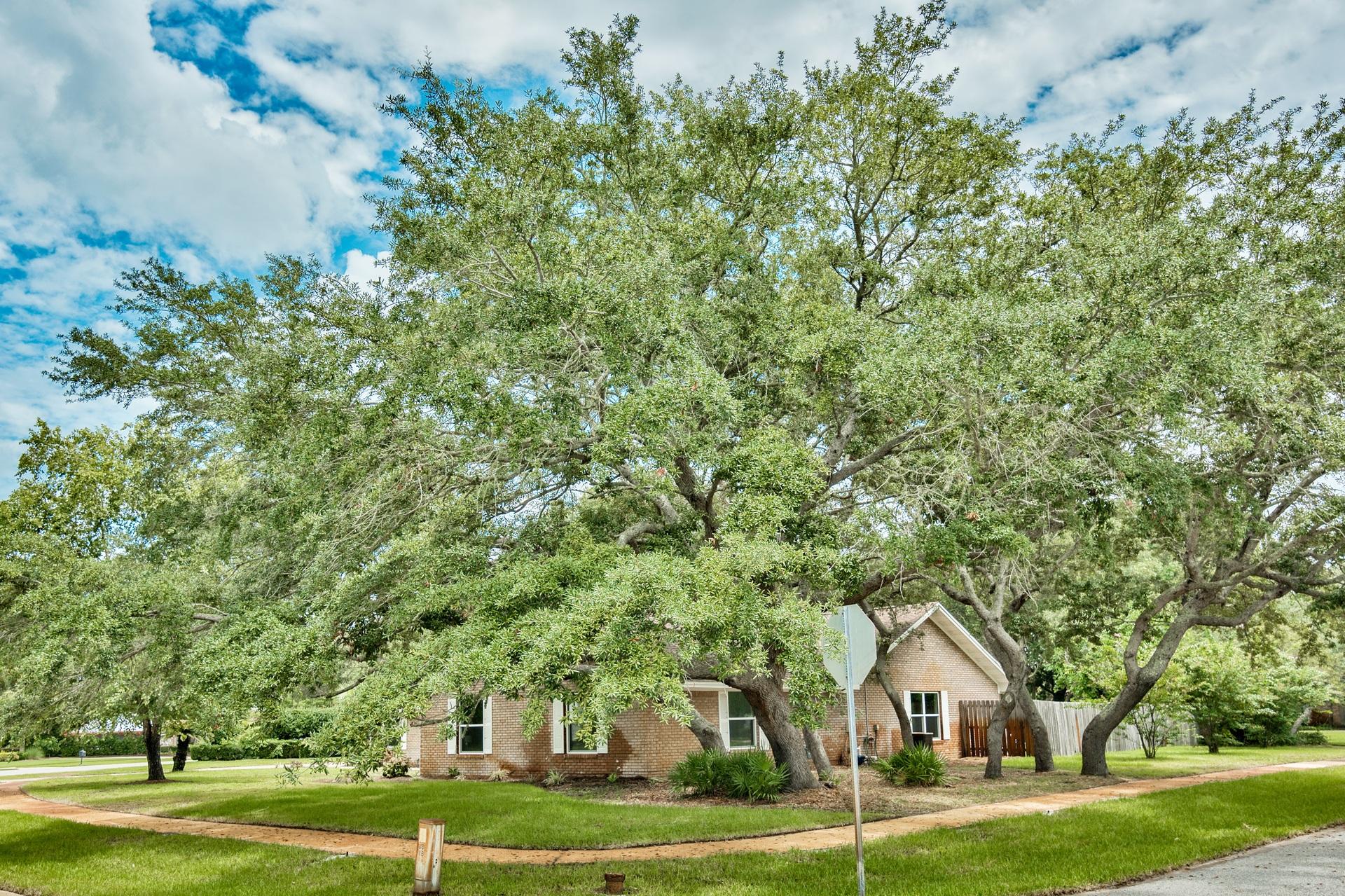 INDIAN BAYOU - Residential