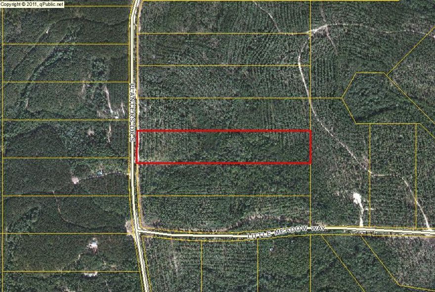 GREAT OPPORTUNITY TO OWN TWO PARCELS ON WALTON PLANTATION FOR THE PRICE OF ONE. PARCELS F-11 & F-12 ARE BEING SOLD AS A PACKAGE DEAL. PARCEL F-11 HAS POWER AVAILABLE TO IT. PARCEL OWNERS IN WALTON PLANTATION ENJOY RECREATIONAL EASEMENTS ONTO APPROX 3000 ACRES OF RIDING TRAILS, ATV TRAILS AND HUNTING.