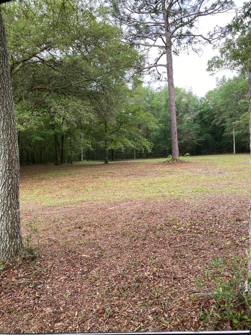 A beautiful interior lot at Kings Lake already cleared and ready to park that new manufactured home or to be used for that brand new home to be built.  It is located close to town, appx. 3 miles to shopping and schools. City of DeFuniak water system is available (tap fee due).  There is an additional lot next to it for sale with same amenities and price.  MLS 870764