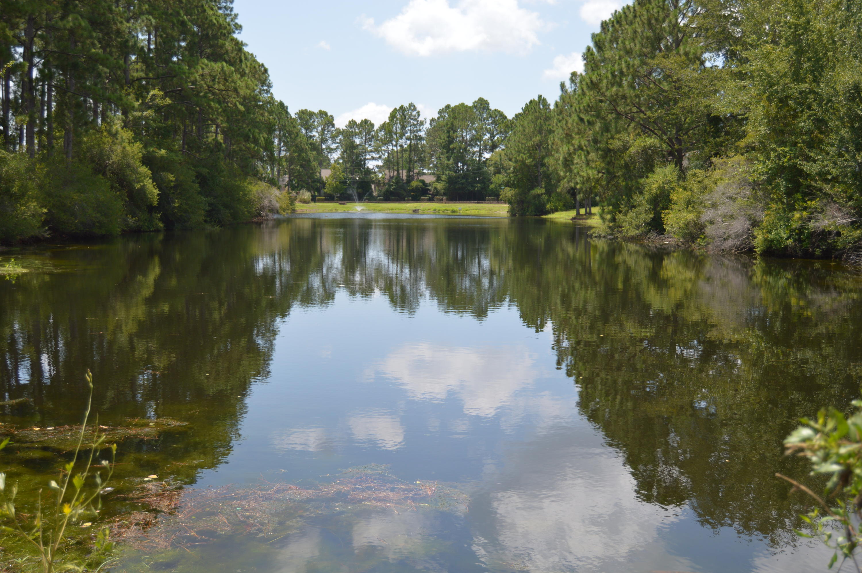 LAKE CHARLESTON - Residential