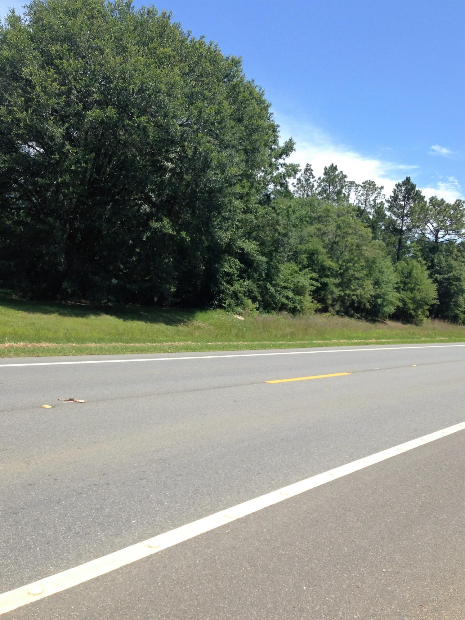 Nice wooded parcel right on Hwy 90 in Ponce de Leon. Build that dream home. Sign on property.