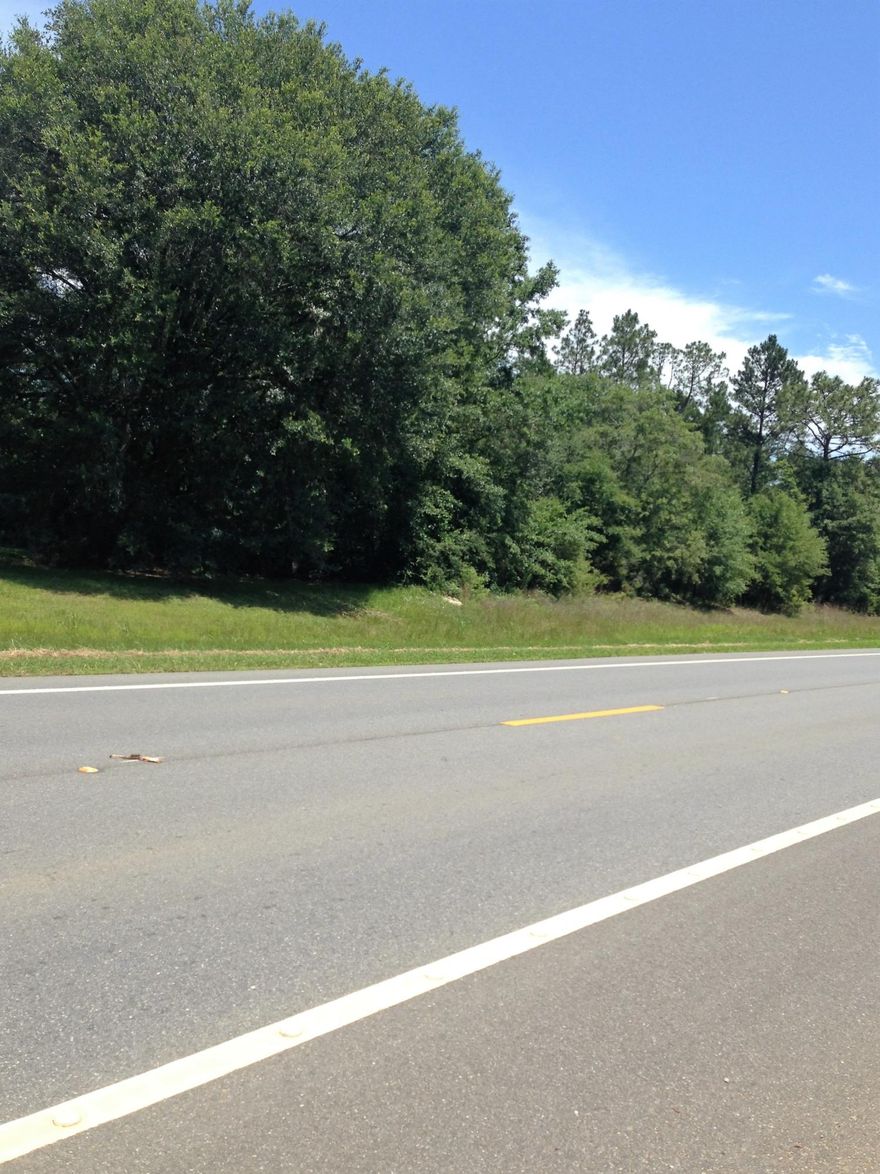 Nice wooded parcel right on Hwy 90 in Ponce de Leon. Build that dream home. Sign on property.