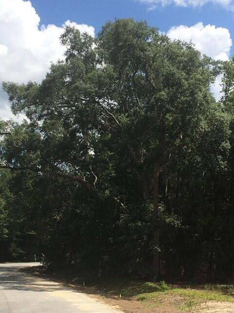 MAGNOLIA BAY ESTATES - Residential