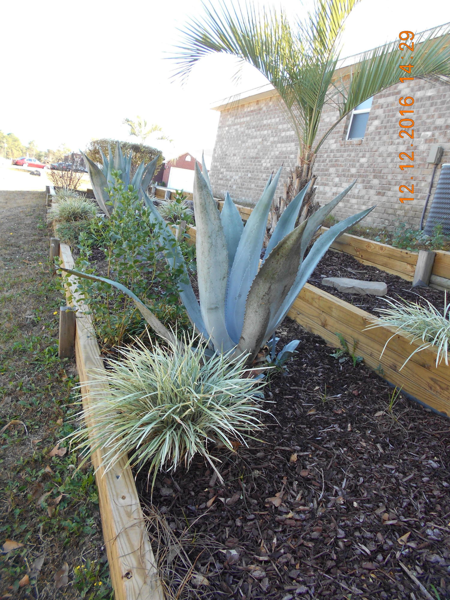 COUNTRYVIEW ESTATES 10TH ADDN - Residential