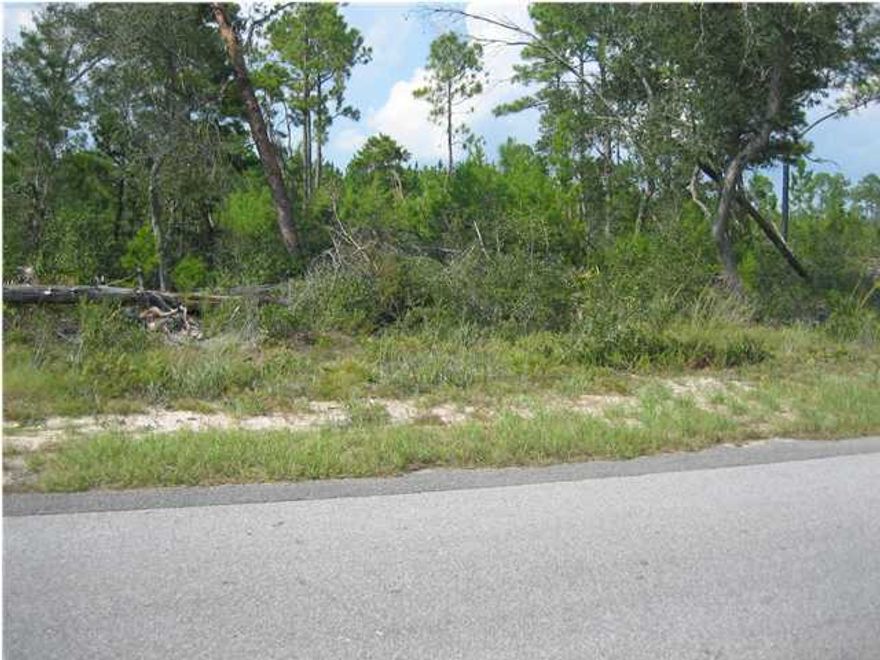 Bank Owned! Attractive owner financing available! Attention builders! Wooded lot ready for your new construction. Several other lots available! Please verify all information important to the buyer!