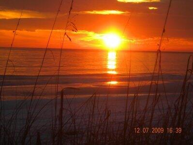 AVALON BEACH ESTATES - Land