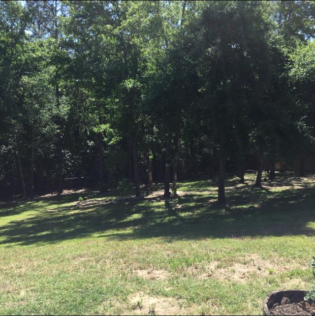 SILVER SPRINGS EST - Residential