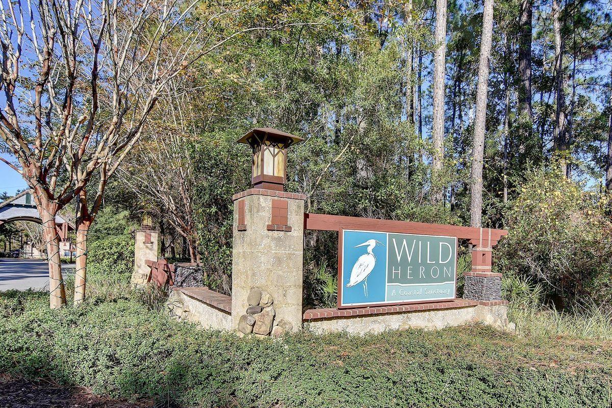 WILD HERON - Land