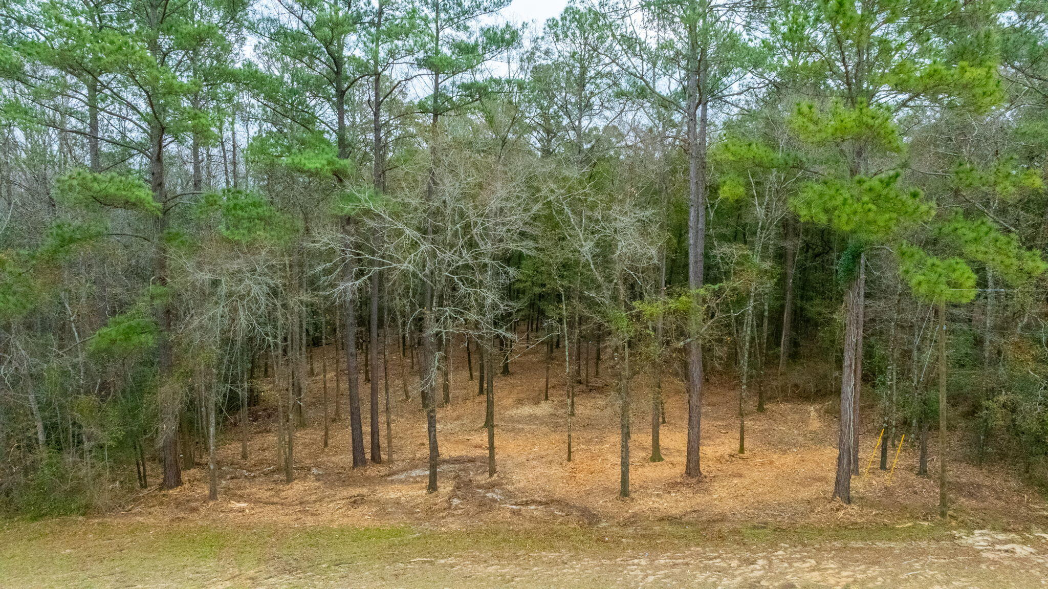 METES & BOUNDS - Land