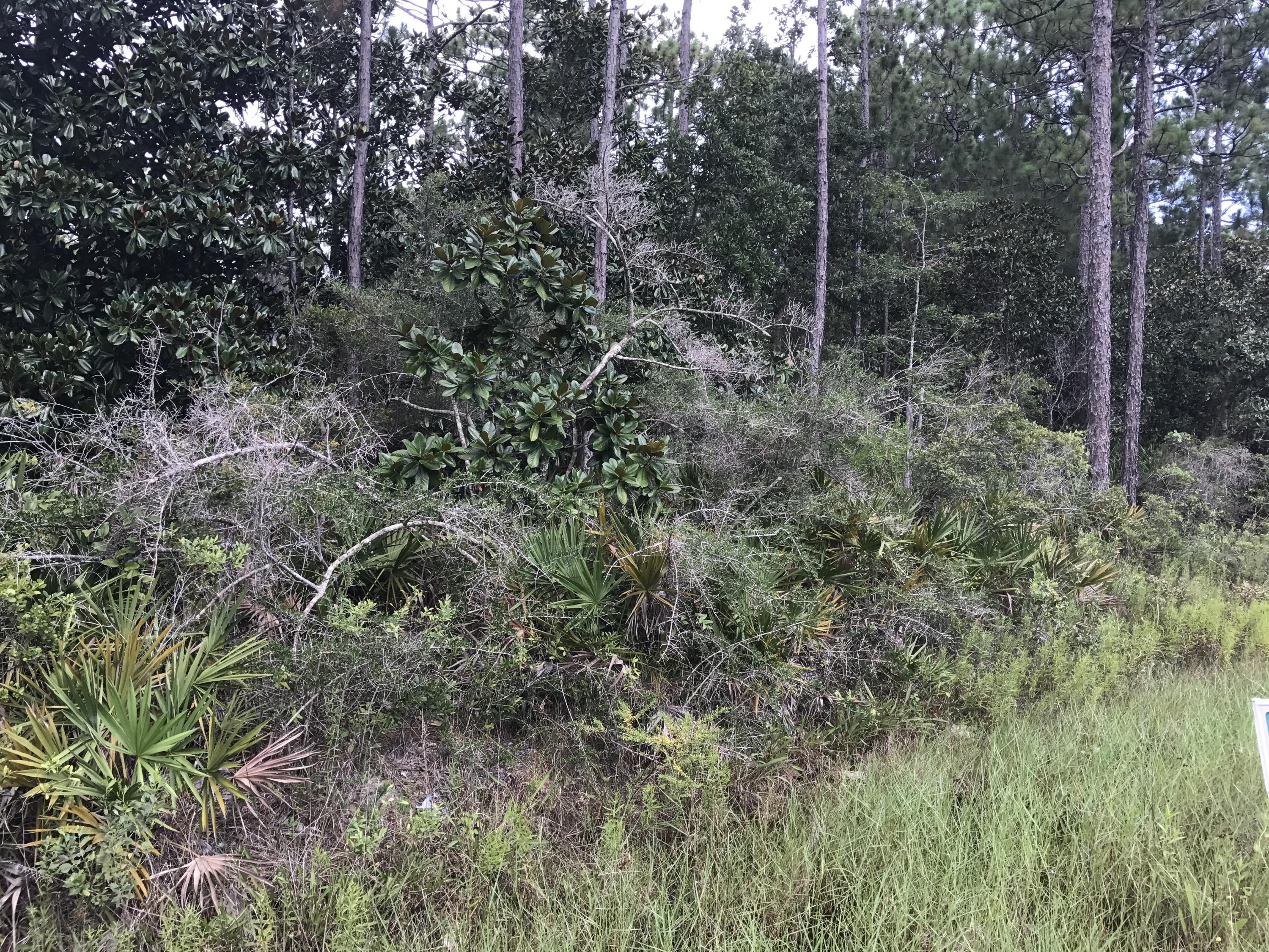 Santa Rosa Beach - Land