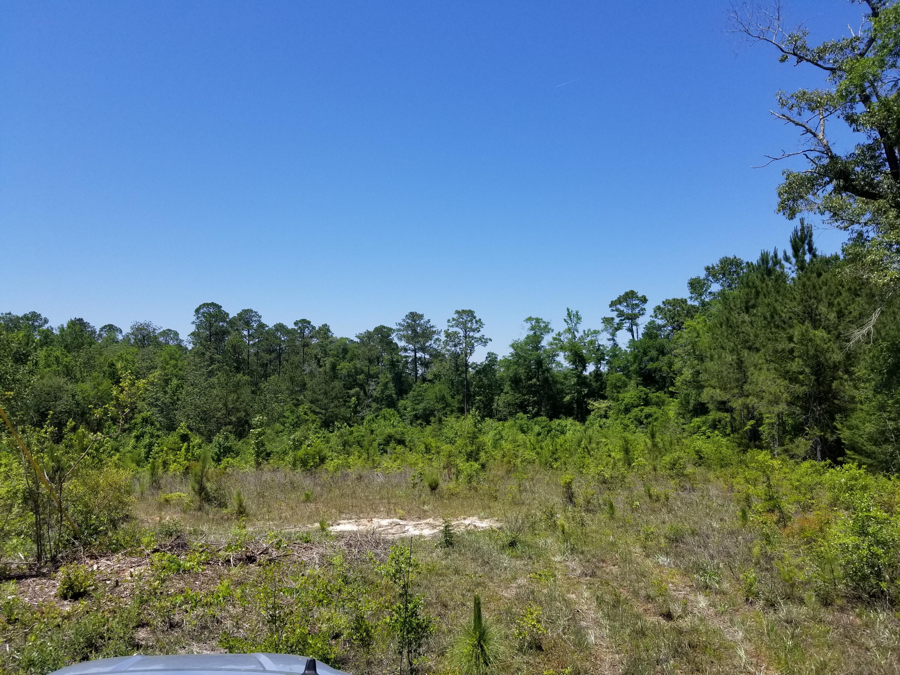 5452 Capt Fritz Road