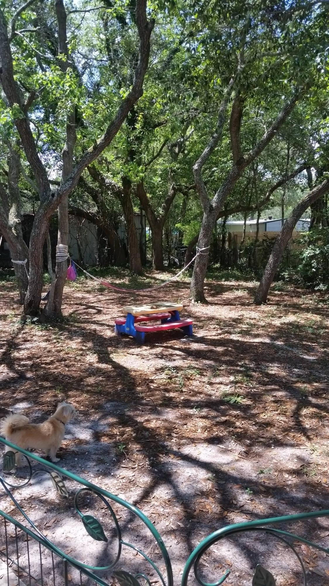 OCEAN CITY - Residential