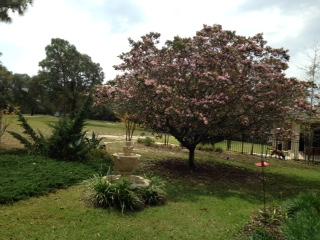 ROCKY BAYOU CC EST #9 LOT 39 - Residential