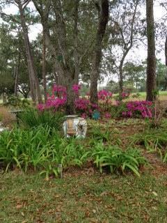 ROCKY BAYOU CC EST #9 LOT 39 - Residential