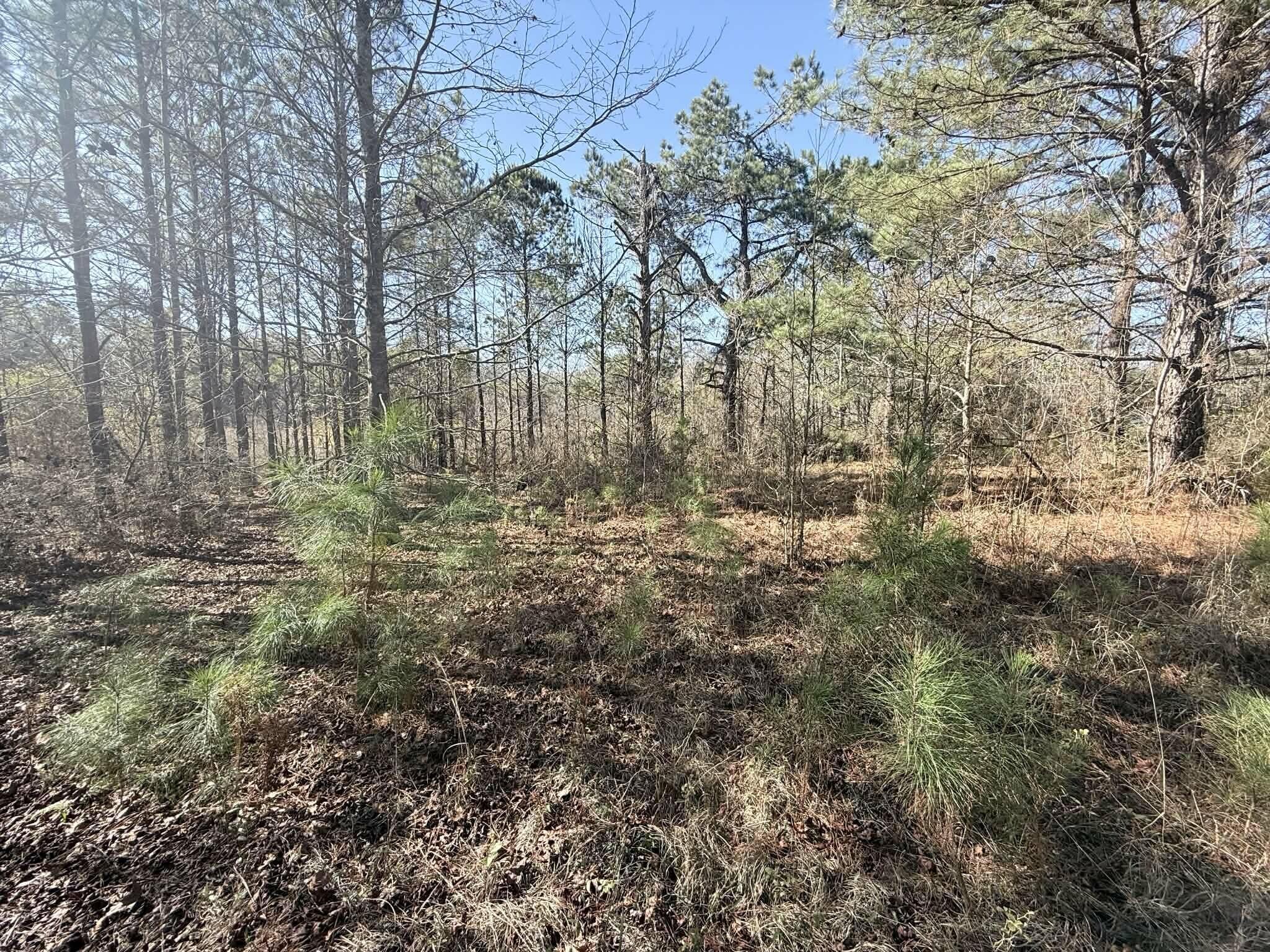 METES & BOUNDS - Land