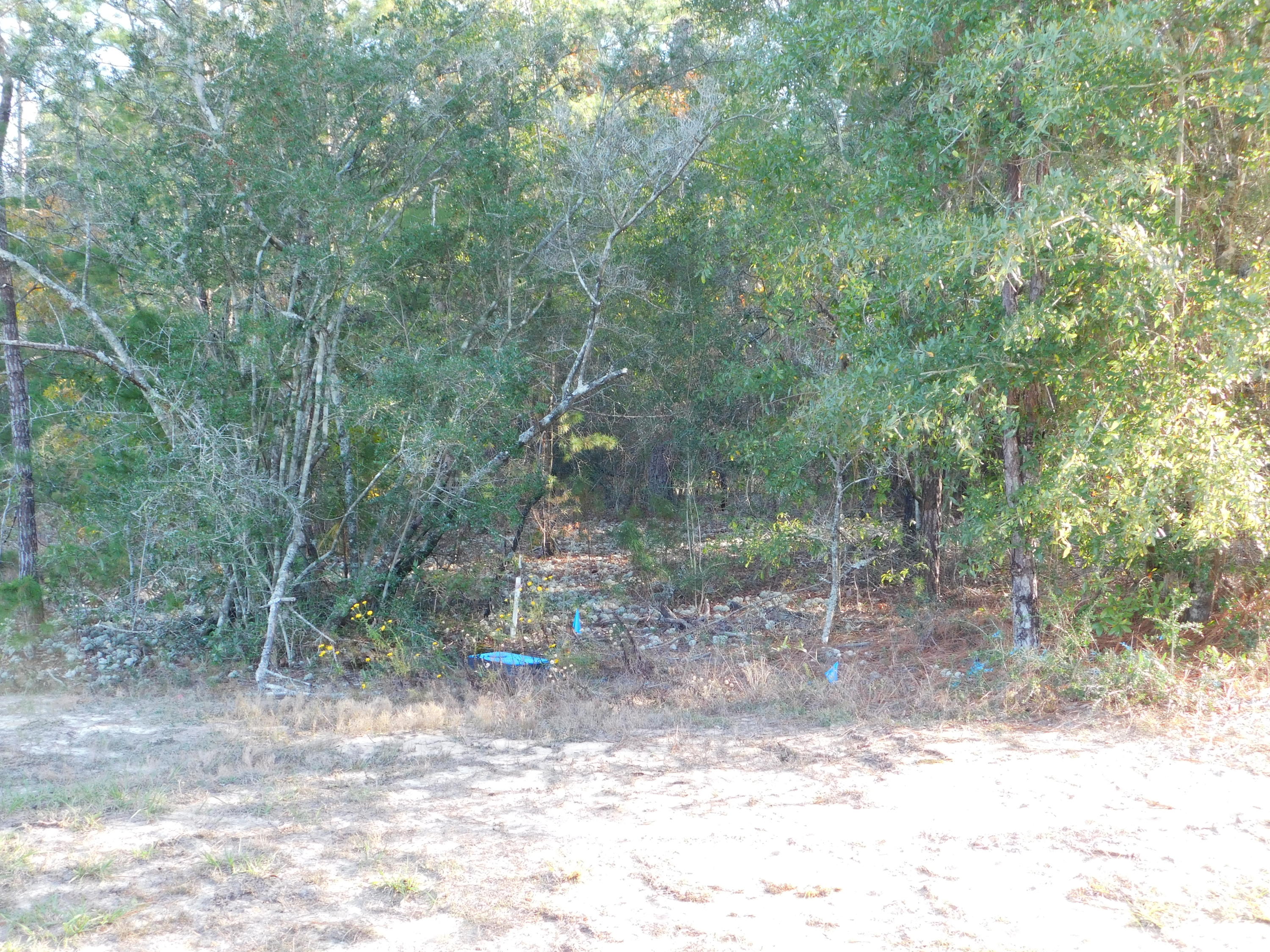 METES & BOUNDS - Land