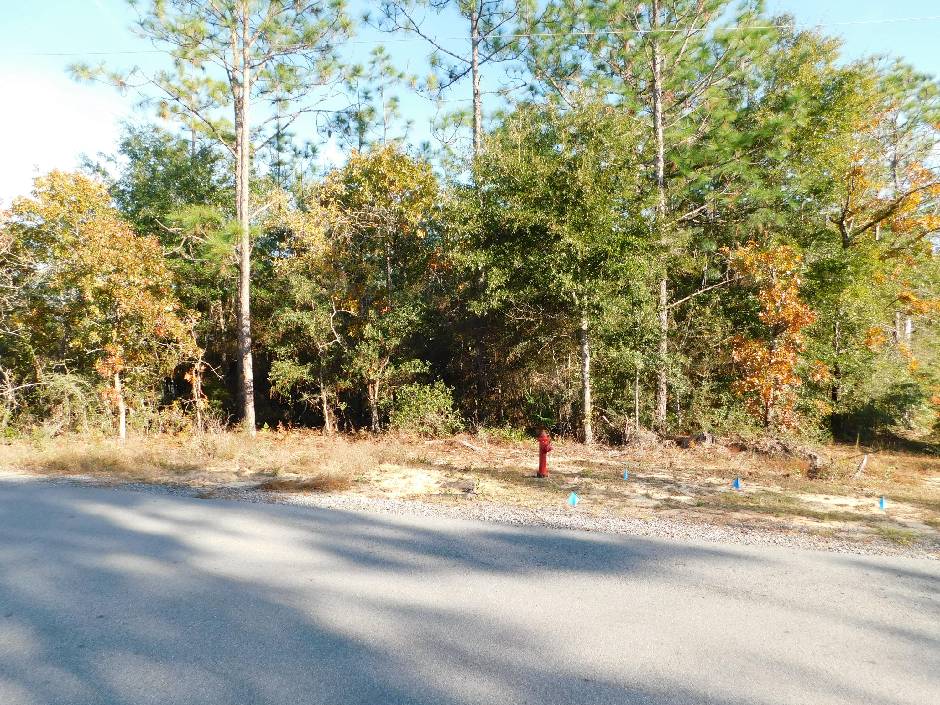 METES & BOUNDS - Land