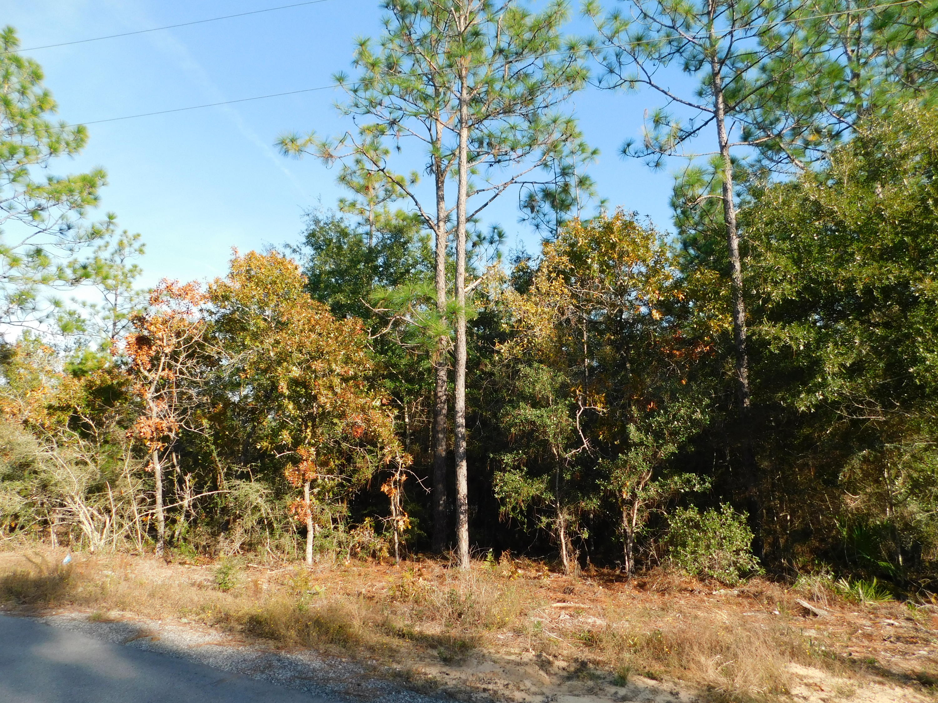 METES & BOUNDS - Land