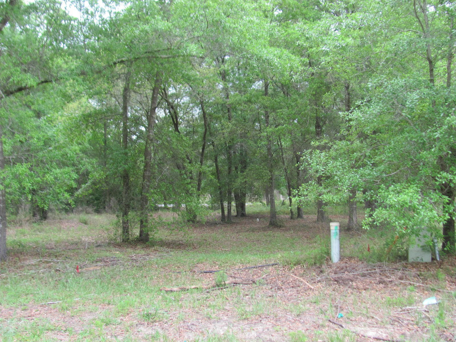 Beautiful lot in a quiet residential area, not far from town! Utilities are available in this location and this would be the perfect lot to build your home on! Take a look and don't miss out! Call for your tour today.