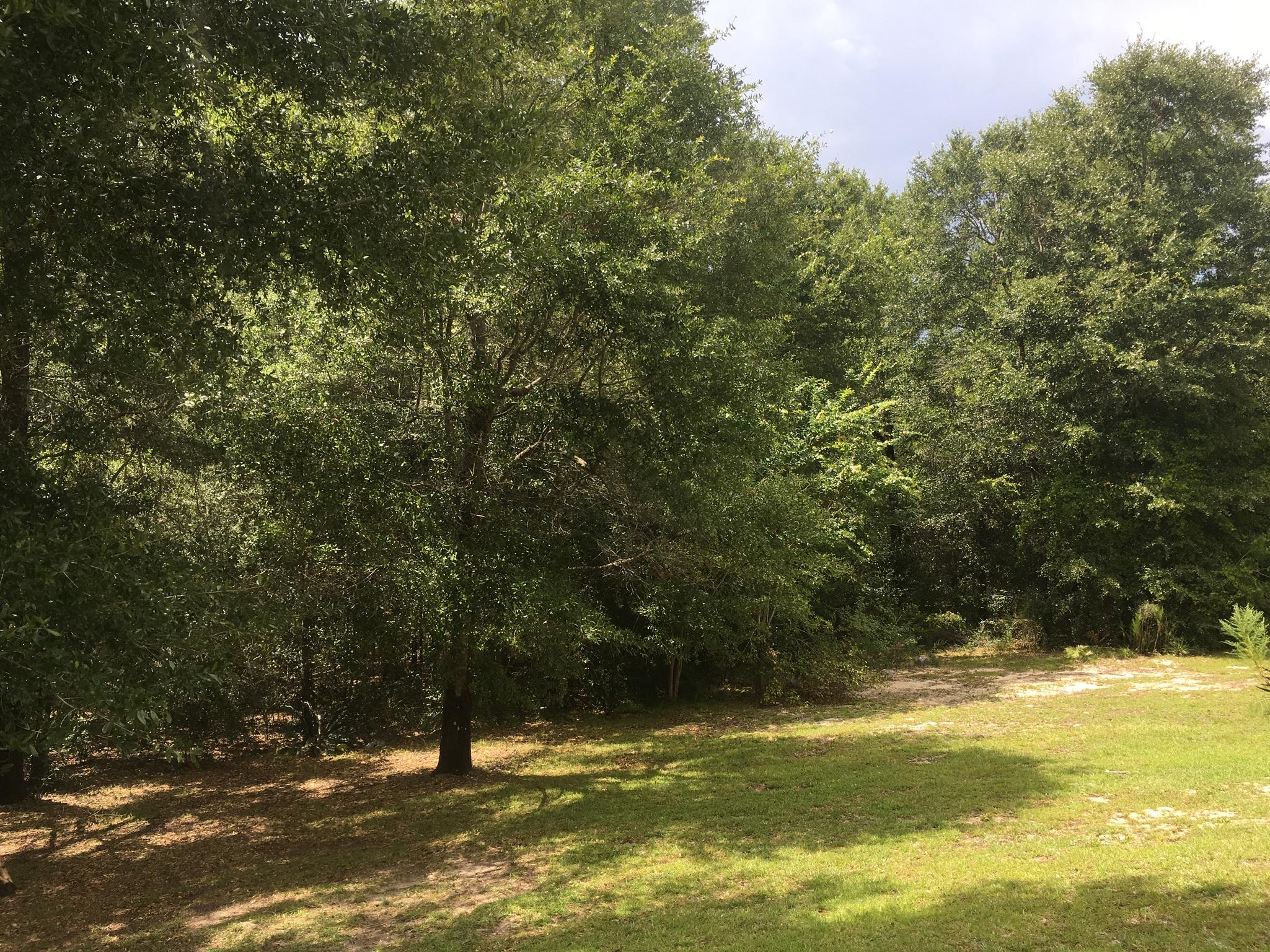 RIDGE CREST PH I - Residential