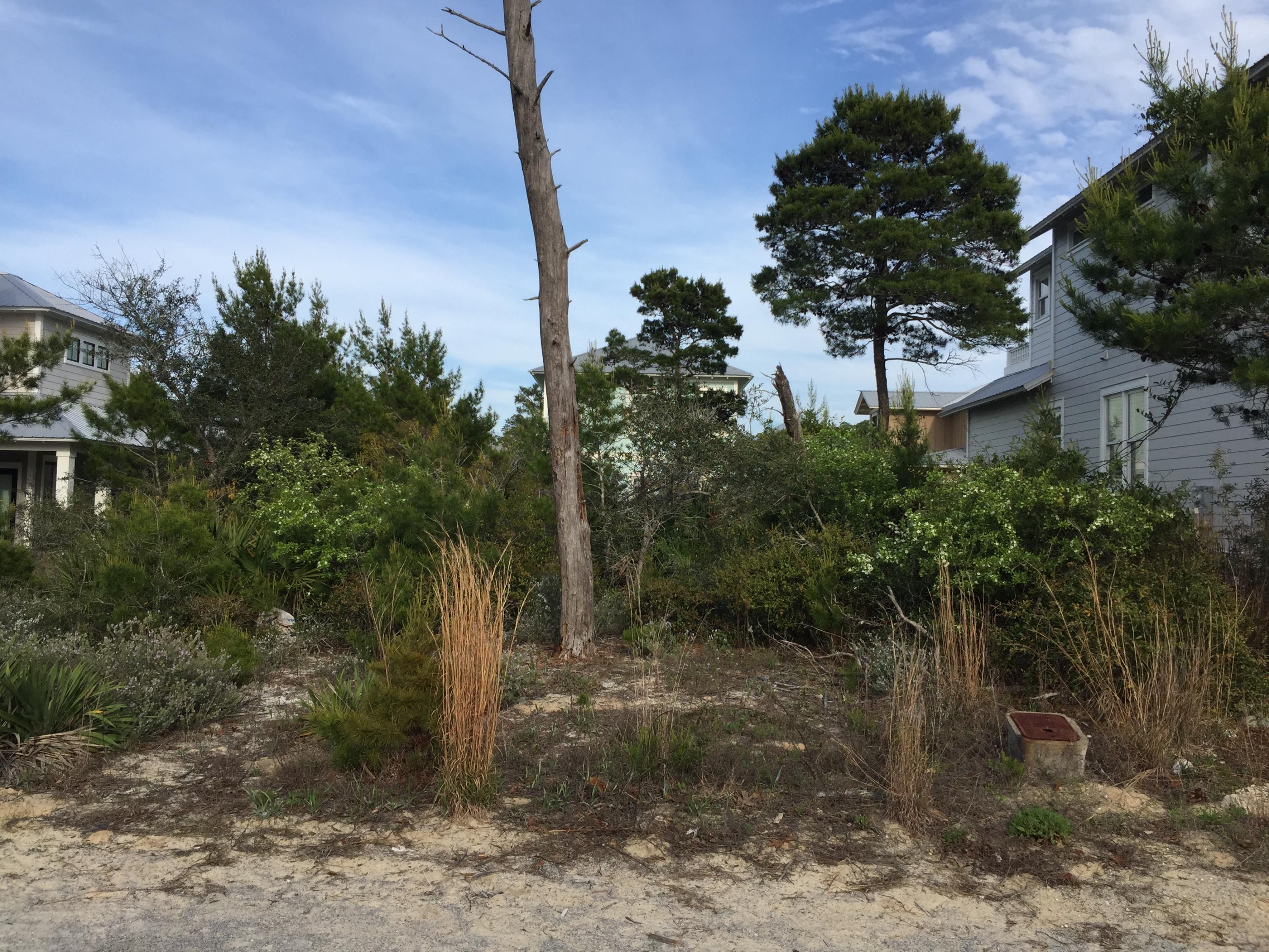 THE PRESERVE AT GRAYTON BEACH IS SURROUNDED BY STATE MANAGEMENT LAND AND HAS 130 LOTS WITHIN THE COMMUNITY. IT IS A GATED COMMUNITY WITH 2 TENNIS COURTS, 2 POOLS AND DEEDED BEACH ACCESS. THIS LOT CONVEYS WITH A WATER AND SEWER TAP (VALUE ABOUT $8500). THERE IS A BUILDOUT TIME THAT WAS EXTENDED UNTIL FEBRUARY 2018. MORE THAN 70 HOMES HAVE BEEN COMPLETED. ENJOY BUILDING YOUR VACATION HOME OR INVESTMENT HOME FOR RENTAL INCOME.