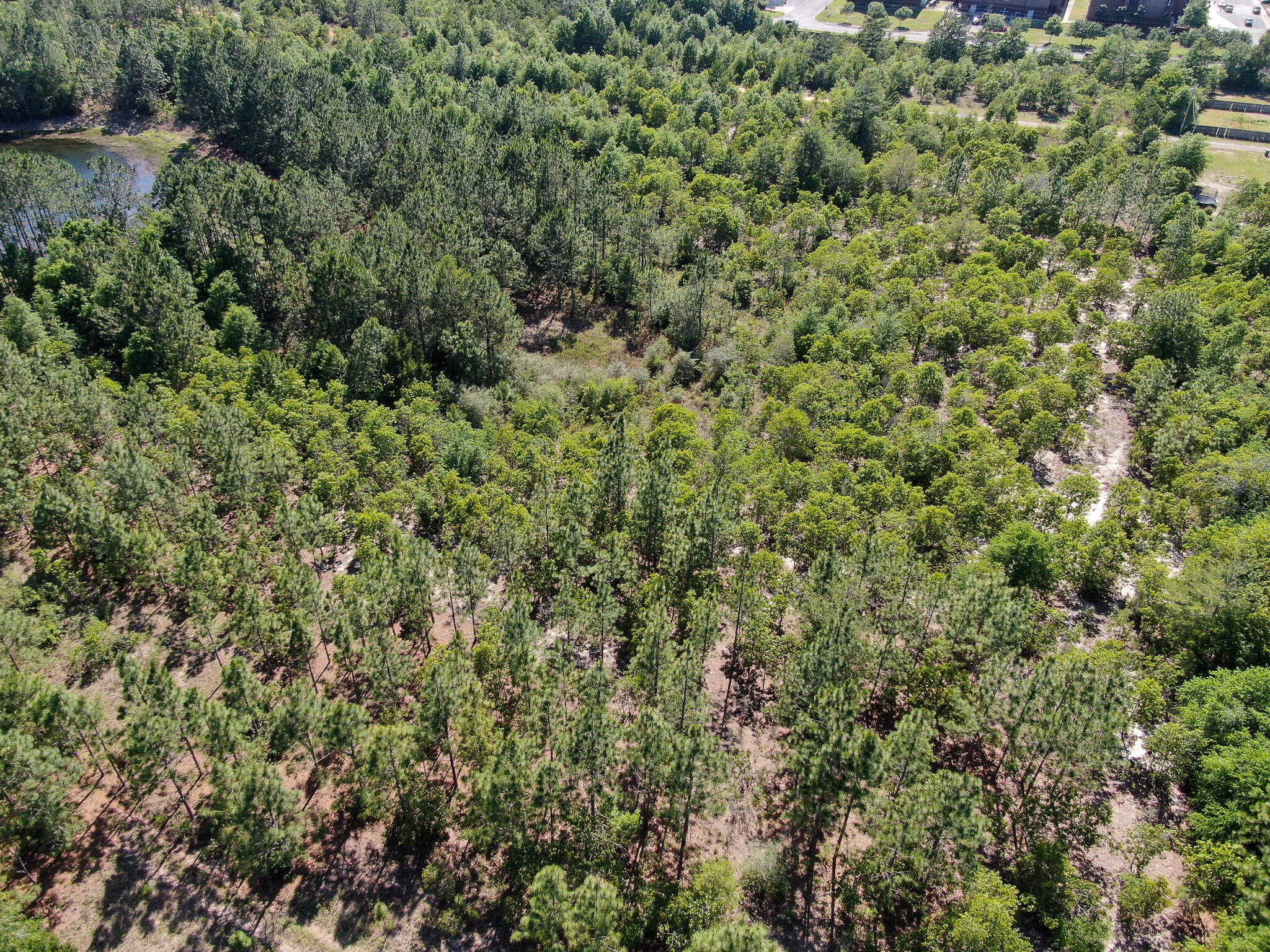 METES & BOUNDS - Land