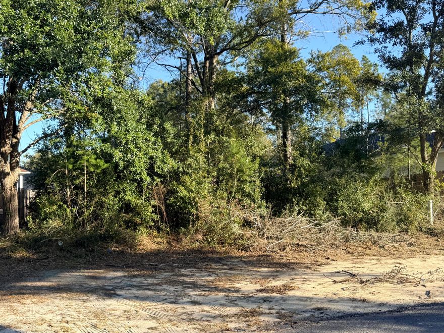 Looking to build your dream home? This beautifully wooded, high-and-dry lot (Flood Zone X) with majestic oak trees is perfectly located in the heart of Freeport. Enjoy easy access to Four Mile Creek for fishing or boating, with quick routes to the Choctawhatchee Bay and nearby waterways. Spend your days exploring Florida's stunning white-sand beaches, all just a short drive away.Centrally positioned between Fort Walton Beach and Panama City Beach, this property offers the best of coastal living--close to endless outdoor recreation, local attractions, and Destin's world-famous Crab Island, all within approximately 30-45 minutes.Situated in a peaceful, well-kept community that allows only single-family homes with minimal restrictions, this lot is ideal for creating a private retreat or or full-time residence. Mobile homes are not permitted. City water and sewer tap fees have already been paid, adding significant value and making this property truly ready for your new build.