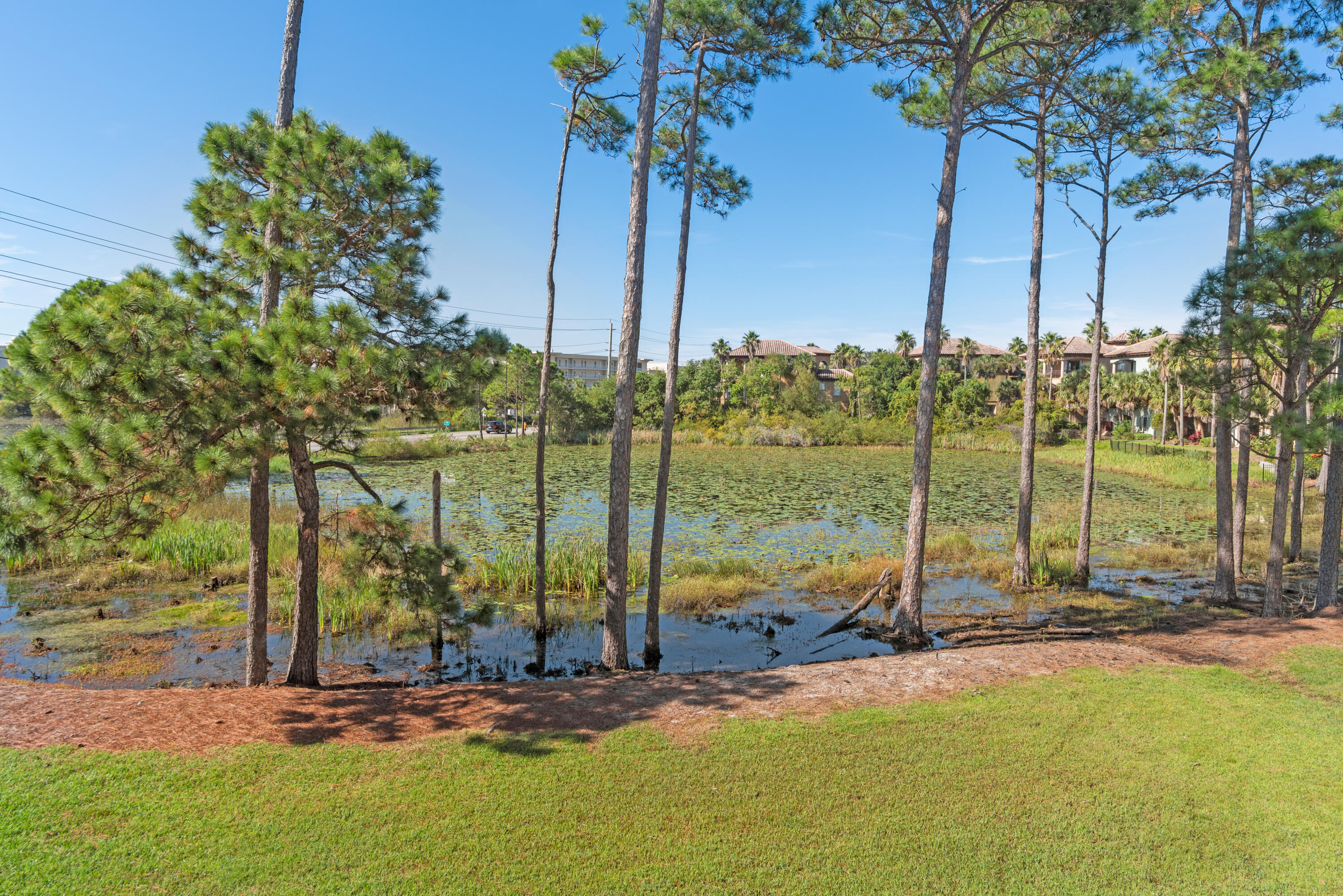 SUMMERLAKE T/H - Residential