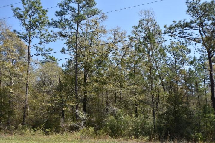 Beautifully wooded land on a paved road in the popular Baker Community. The property is fairly level on the front portion of the property with a gentle slope as you go into the property toward the back property line. You can pick where you want to clear the site for your new home as this property is completely wooded. Be sure to take a look at the GIS Contour Map in the Documents Section. Electricity and public water are available but not located on site-please verify procedures and costs for utility access.