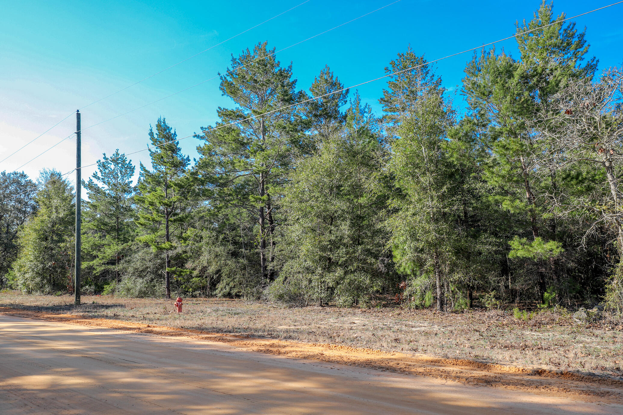 OAKWOOD HILLS UNIT III - Land