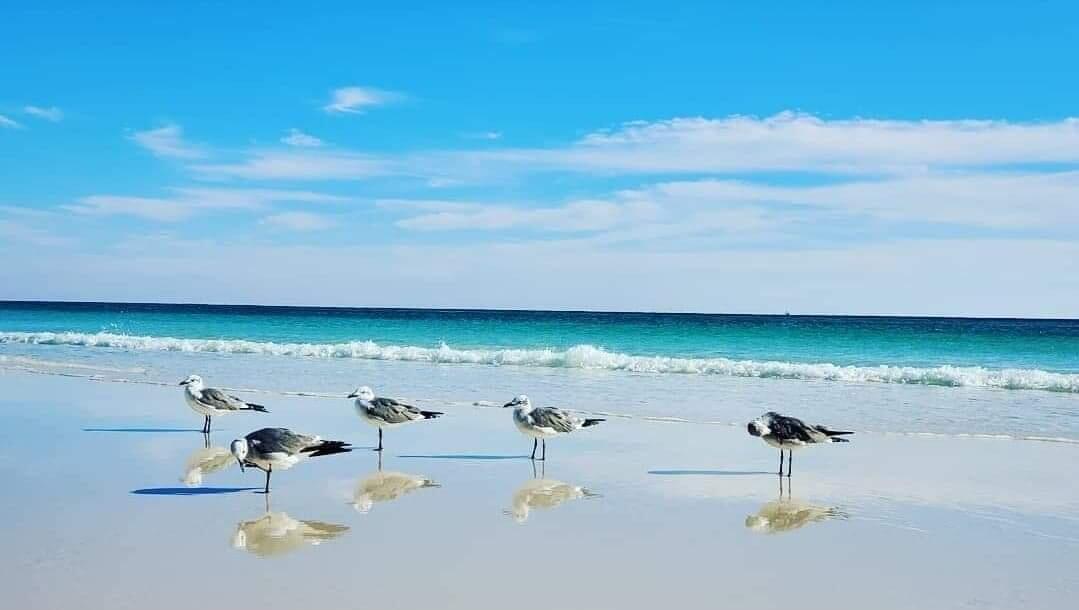 PARADISE RETREAT - Residential