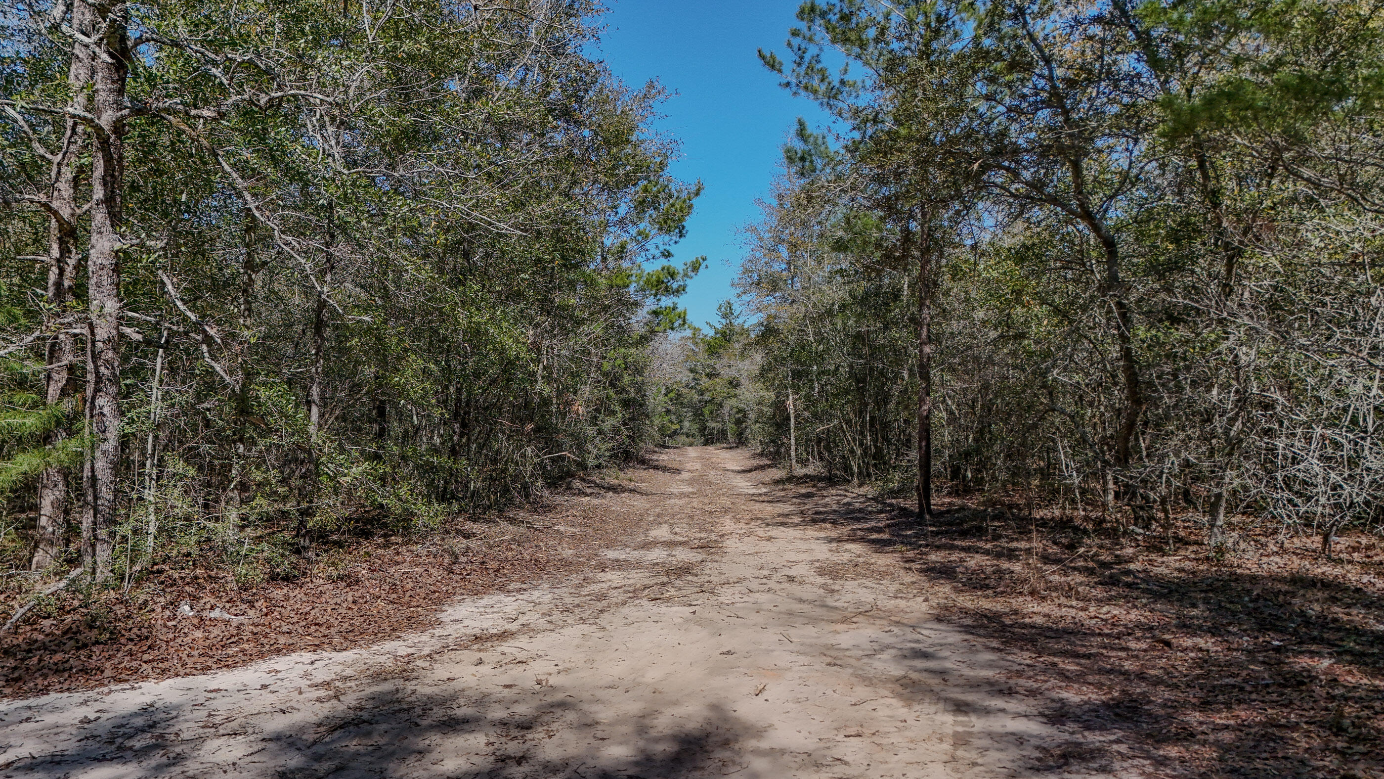 METES & BOUNDS - Land