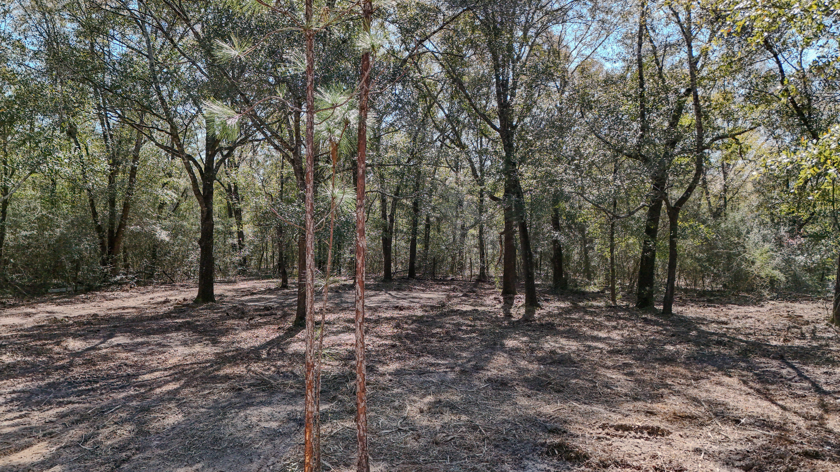 METES & BOUNDS - Land