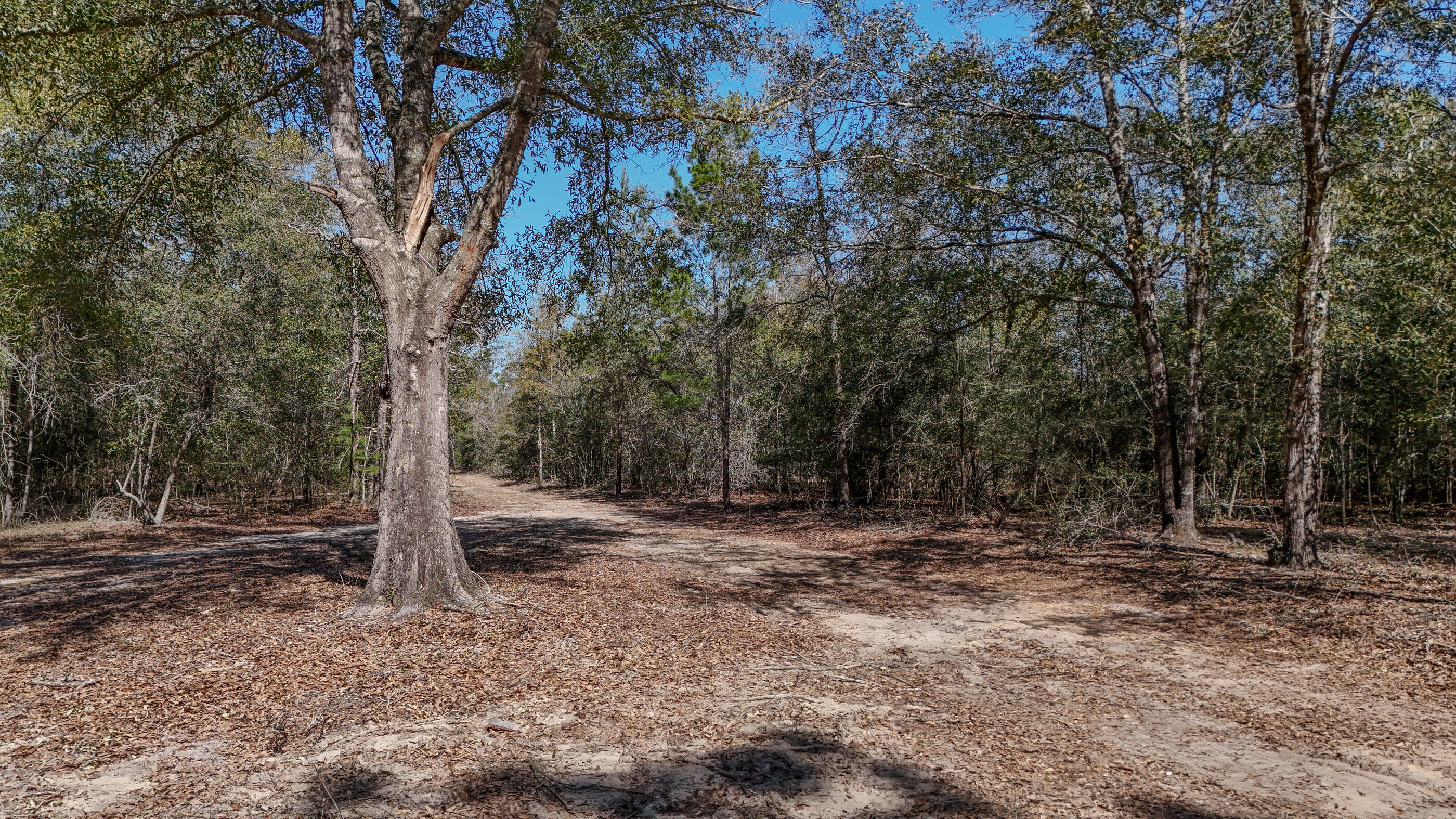 METES & BOUNDS - Land