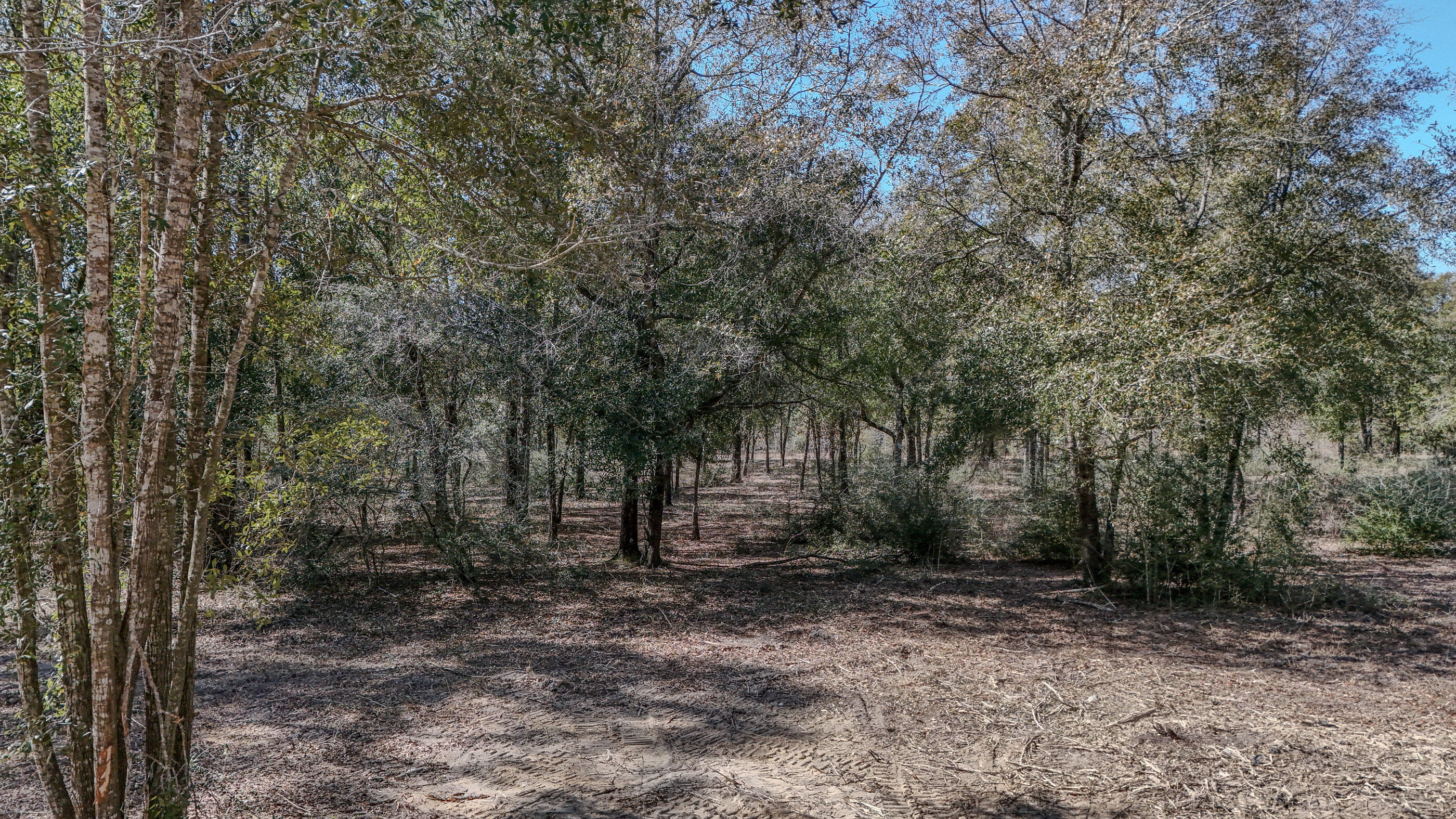 METES & BOUNDS - Land