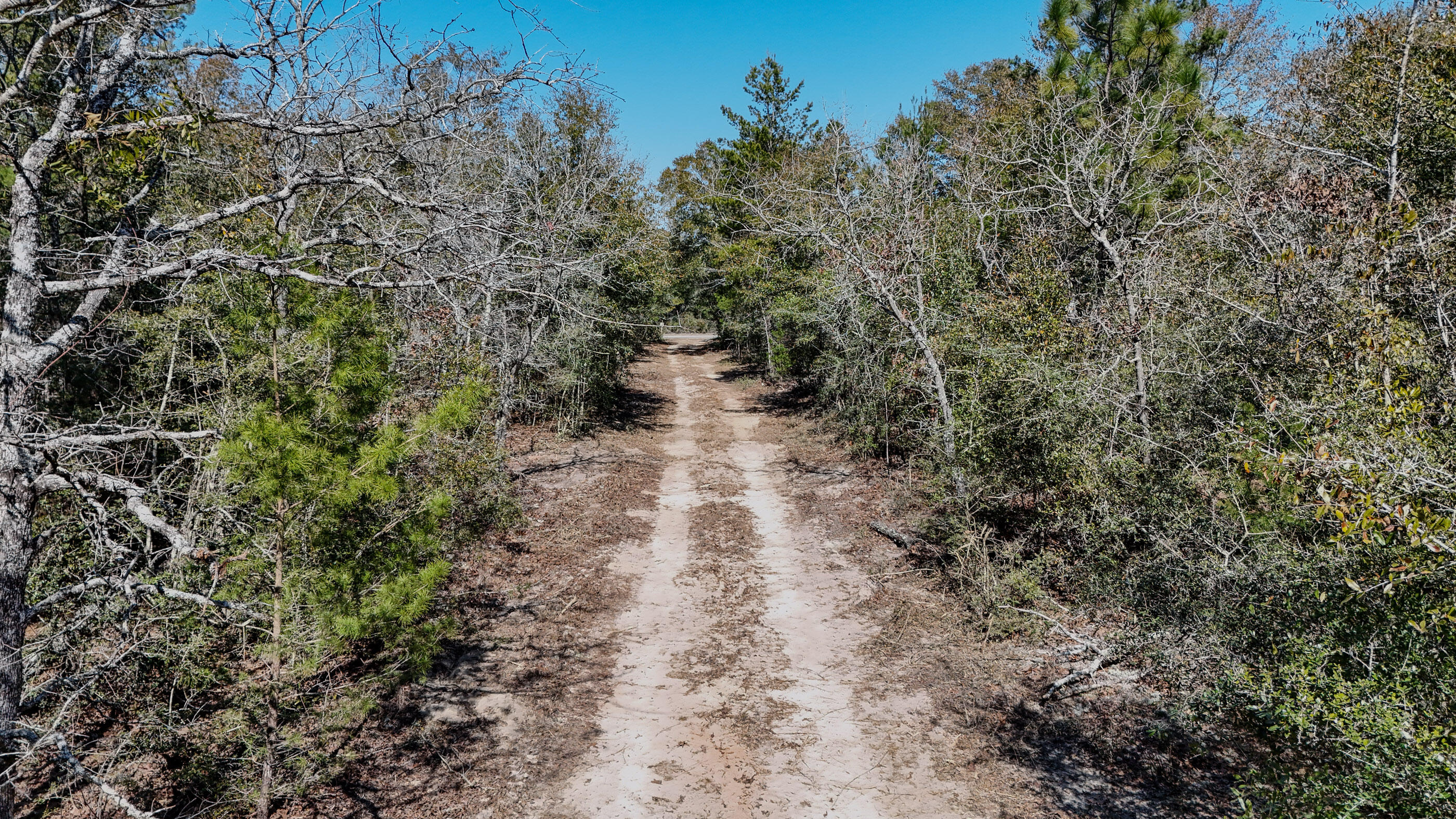 METES & BOUNDS - Land